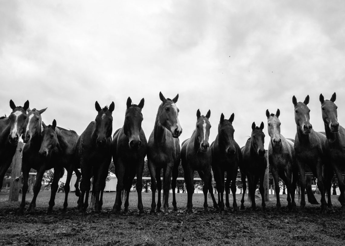 I Express Myself With Images Photography Blog