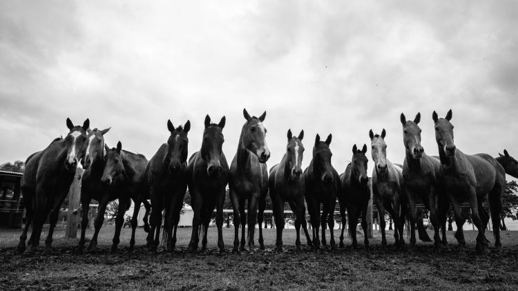 Bloom where you are planted