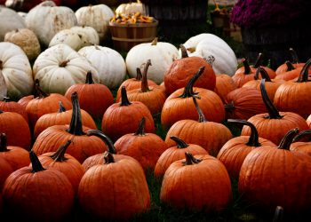 Real men don’t take selfies