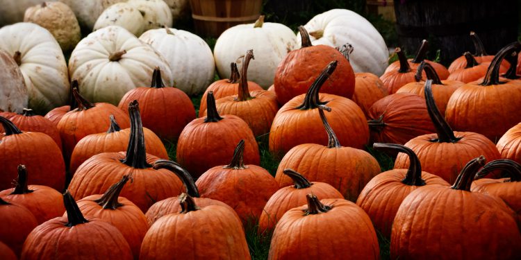 Real men don’t take selfies