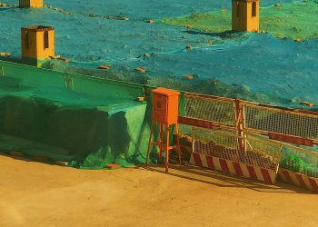 Pasta #3 : Preparing Your Business for a Post-Pandemic World