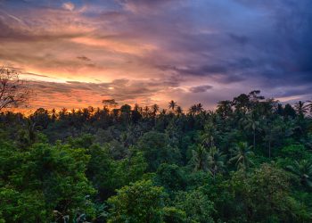 No smartphones by the River Pool: Ayana Resort Bali