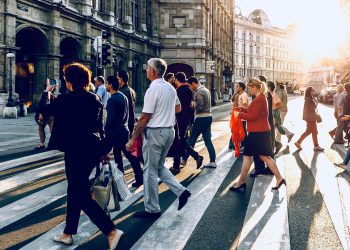 Electrical Market Share will Exceed US$ 11 Billion by 2024