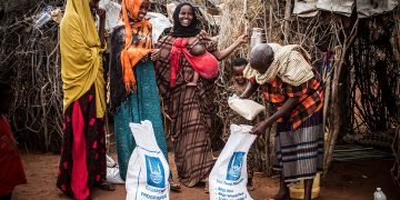 Sound-reflecting shelters inspired ancient rock artists