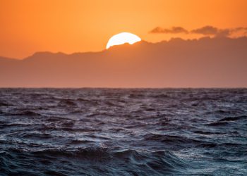 Your Guide to Canggu’s Hottest Street: The Essential Batu Bolong