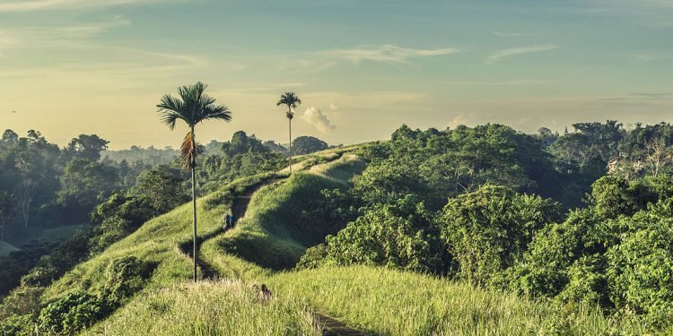 Start making your travel plans for this year