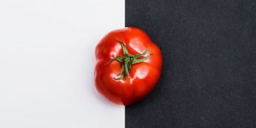 Celebrity Foodies: See What the Stars Are Snacking on Today