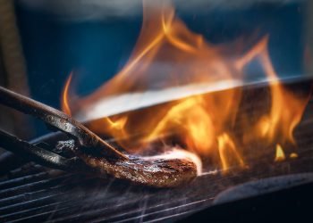 Chicago’s Best Burger: Because we all love Krabby Patty