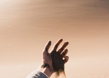 Shadow Tactics: Blades of the Shogun Review