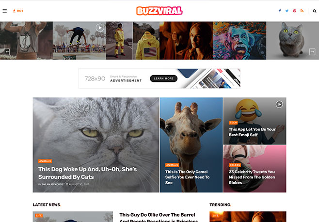 Viral Buzz