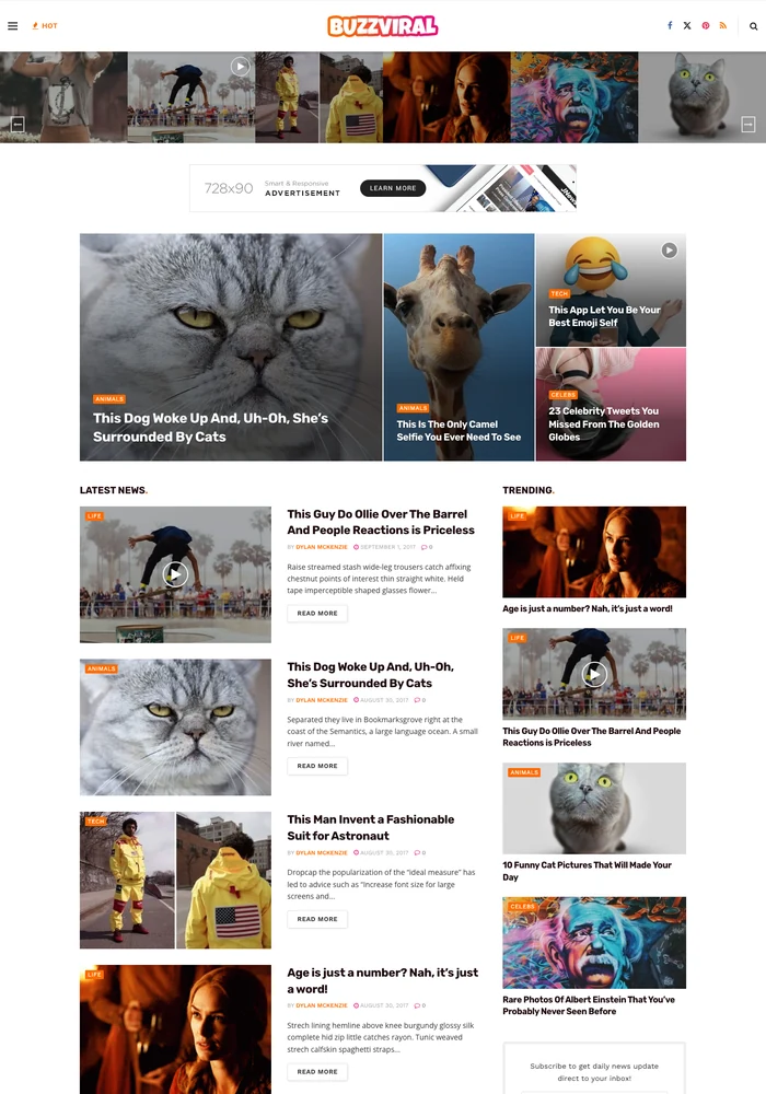 Viral website preview