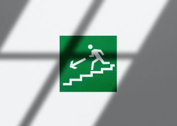 Independent data protection authority matters